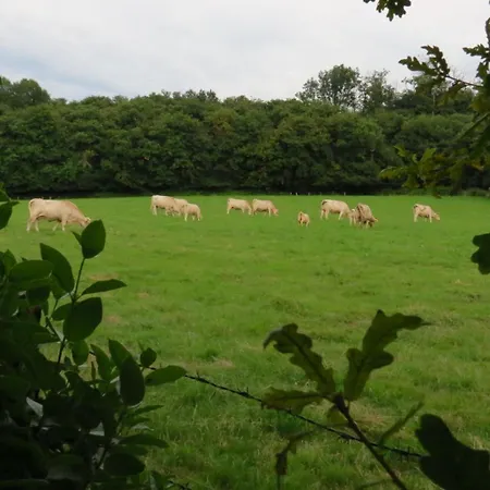 Appartement Ecoconcu Proche Zoo De La Fleche Clermont-Creans