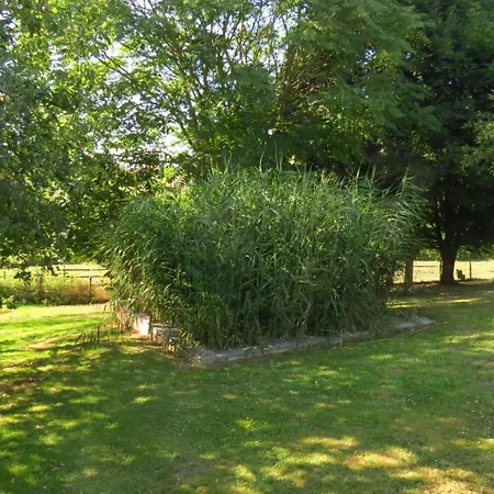 Ecoconcu Proche Zoo De La Fleche * Clermont-Creans