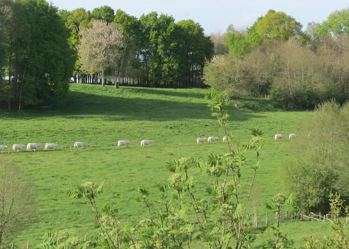 Ecoconcu Proche Zoo De La Fleche דירה Clermont-Creans