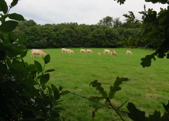 דירה Ecoconcu Proche Zoo De La Fleche Clermont-Creans
