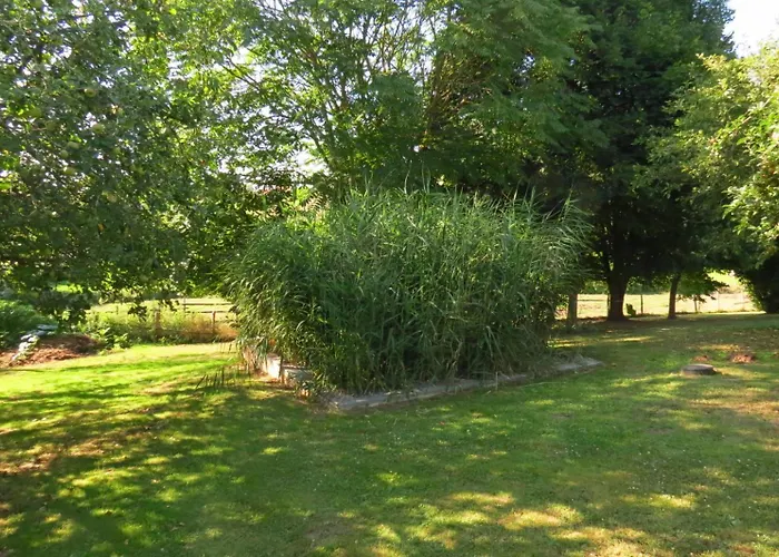 Ecoconcu Proche Zoo De La Fleche * Clermont-Creans